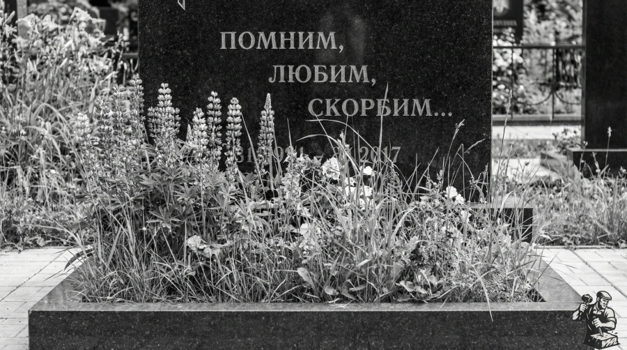 Gemini_Generated_Image_sdwb30sdwb30sdwb (1)